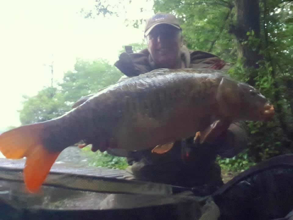 23LB+